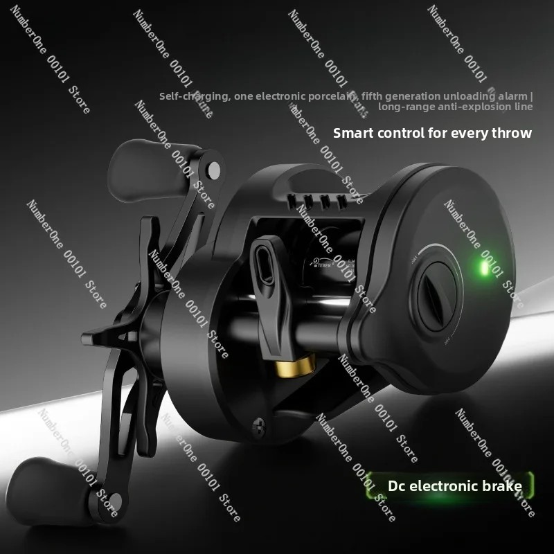 Electronic Magnetic Brake Fish - Baitcasting Reel のレビューと価格